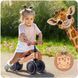 Беговел трёхколёсный учебный Ricokids, коричневый &laquo;Жираф&raquo; 1336 фото 8
